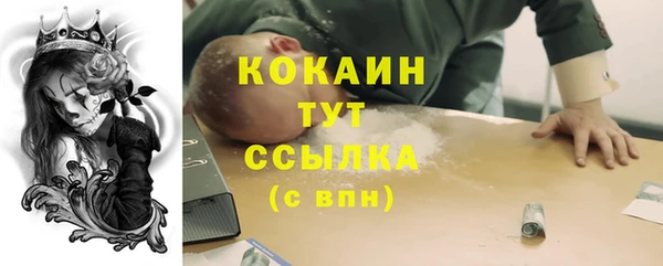ешки Аркадак