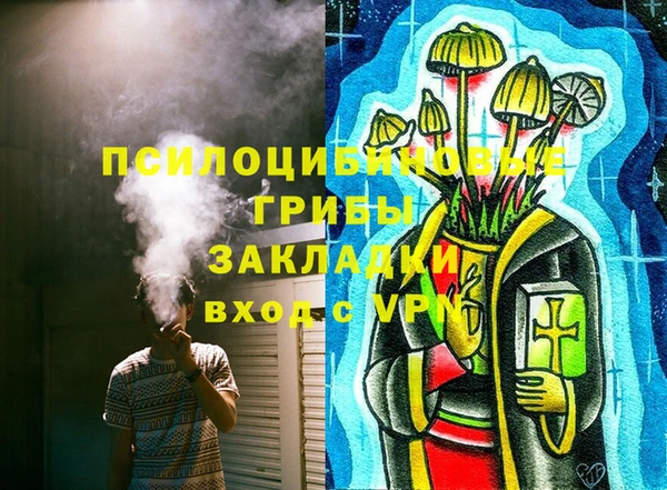 ешки Аркадак